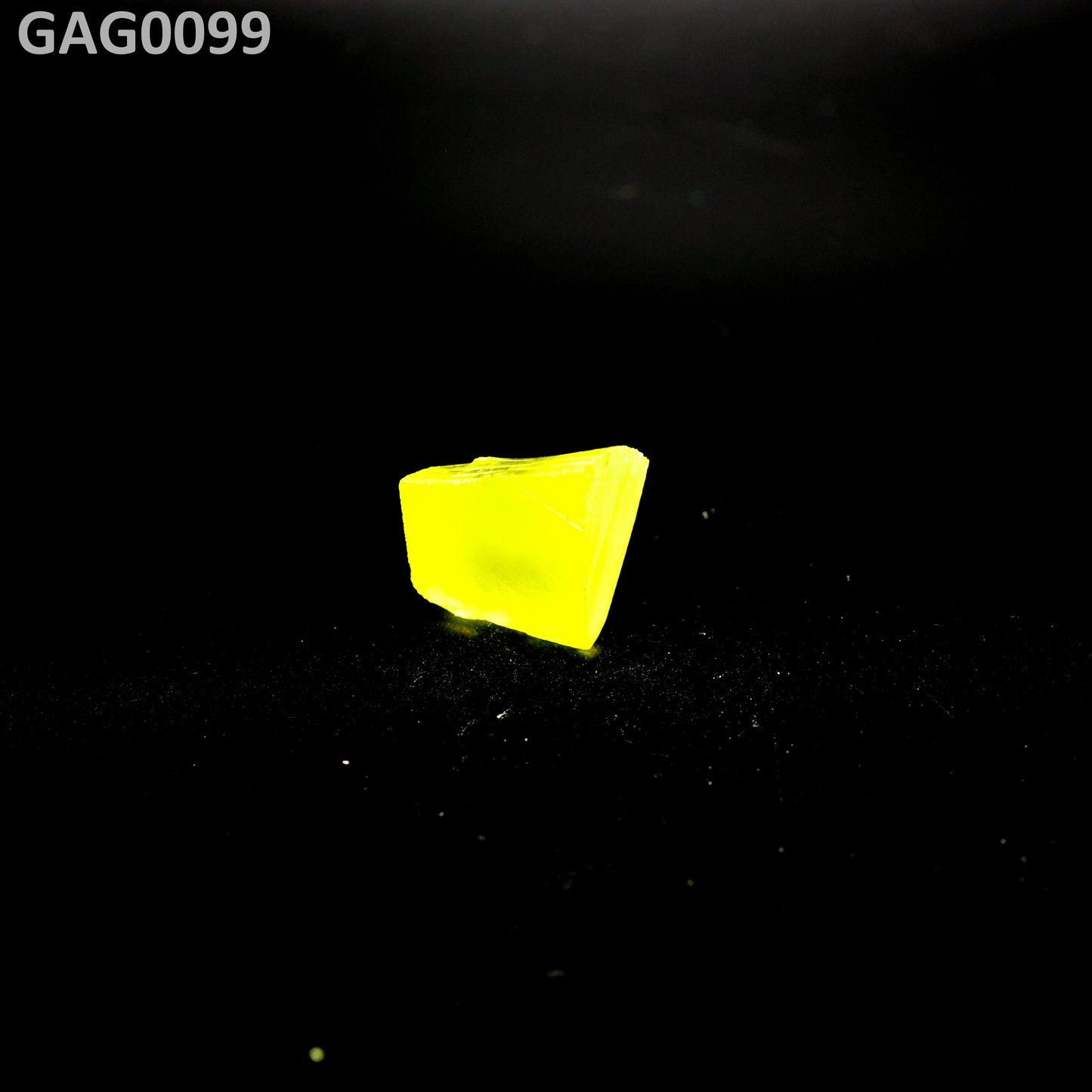 GAGG : GAG0099
