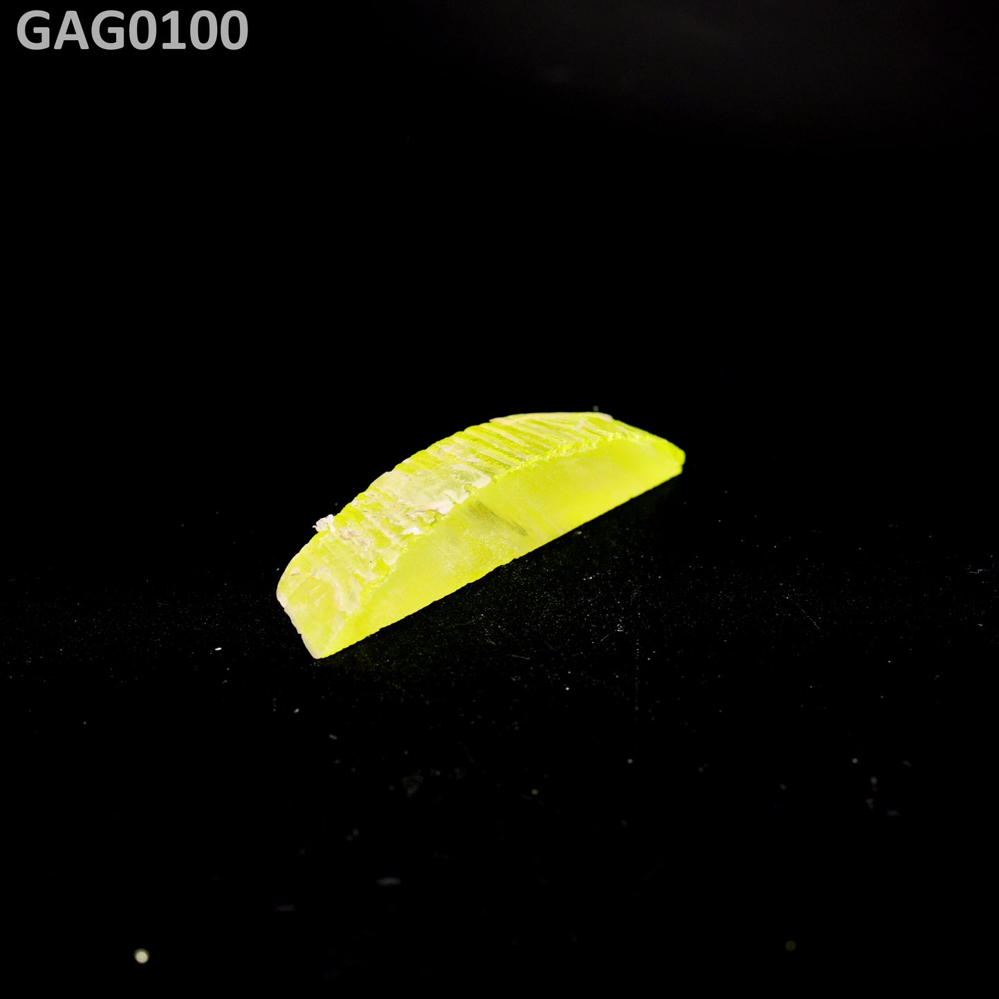 GAGG : GAG0100