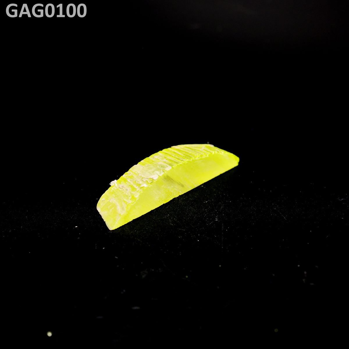 GAGG : GAG0100