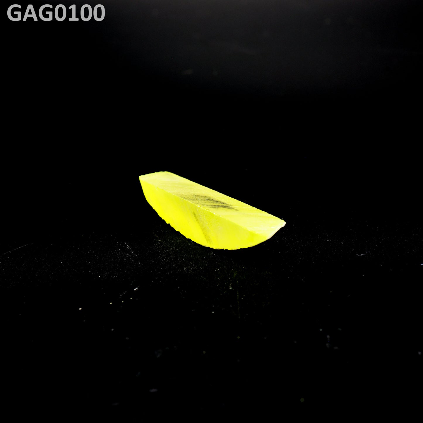GAGG : GAG0100