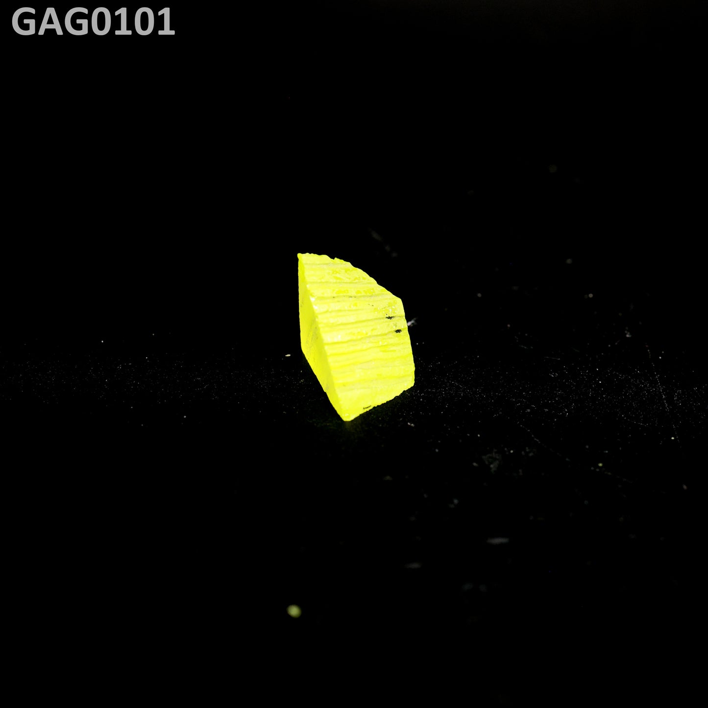 GAGG : GAG0101