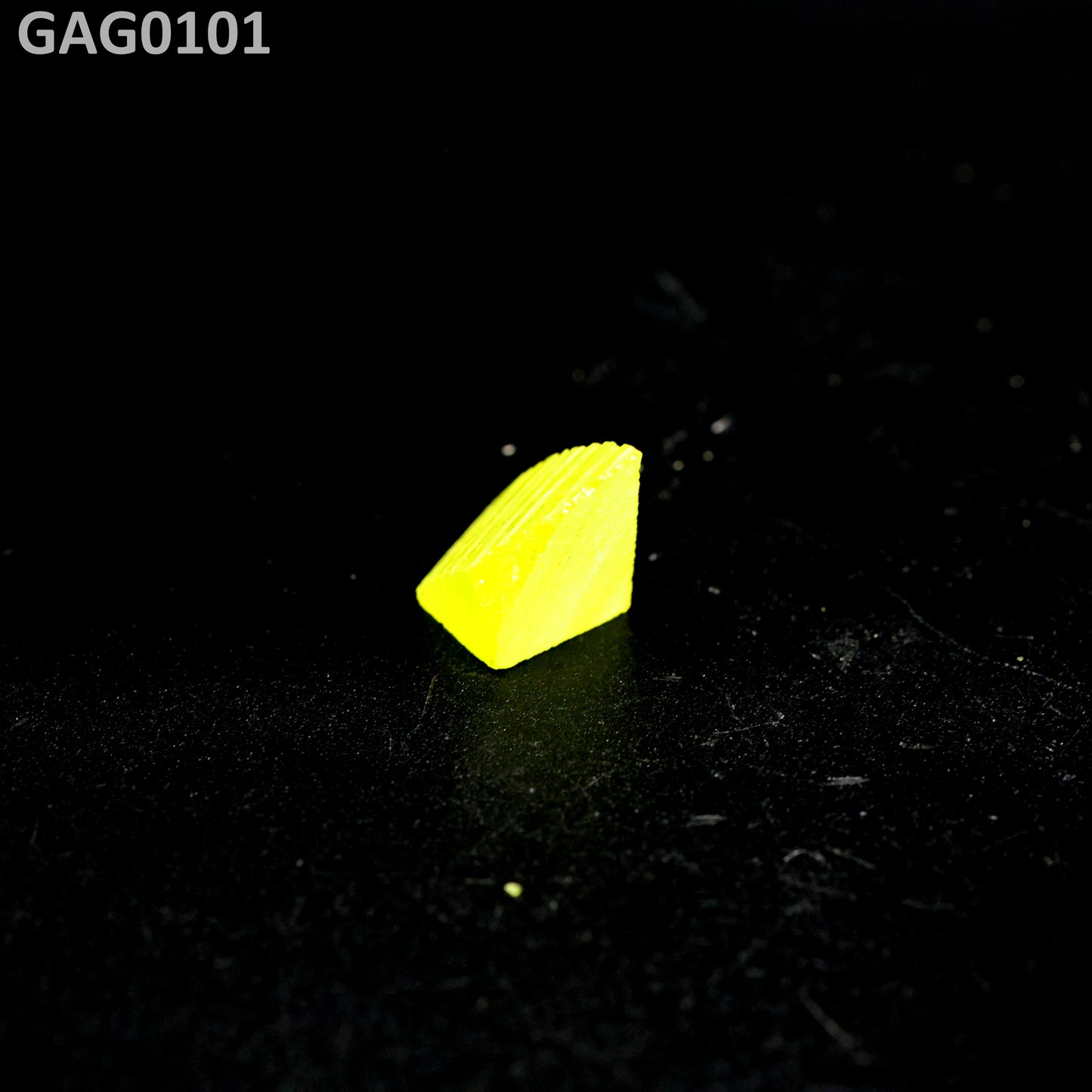 GAGG : GAG0101