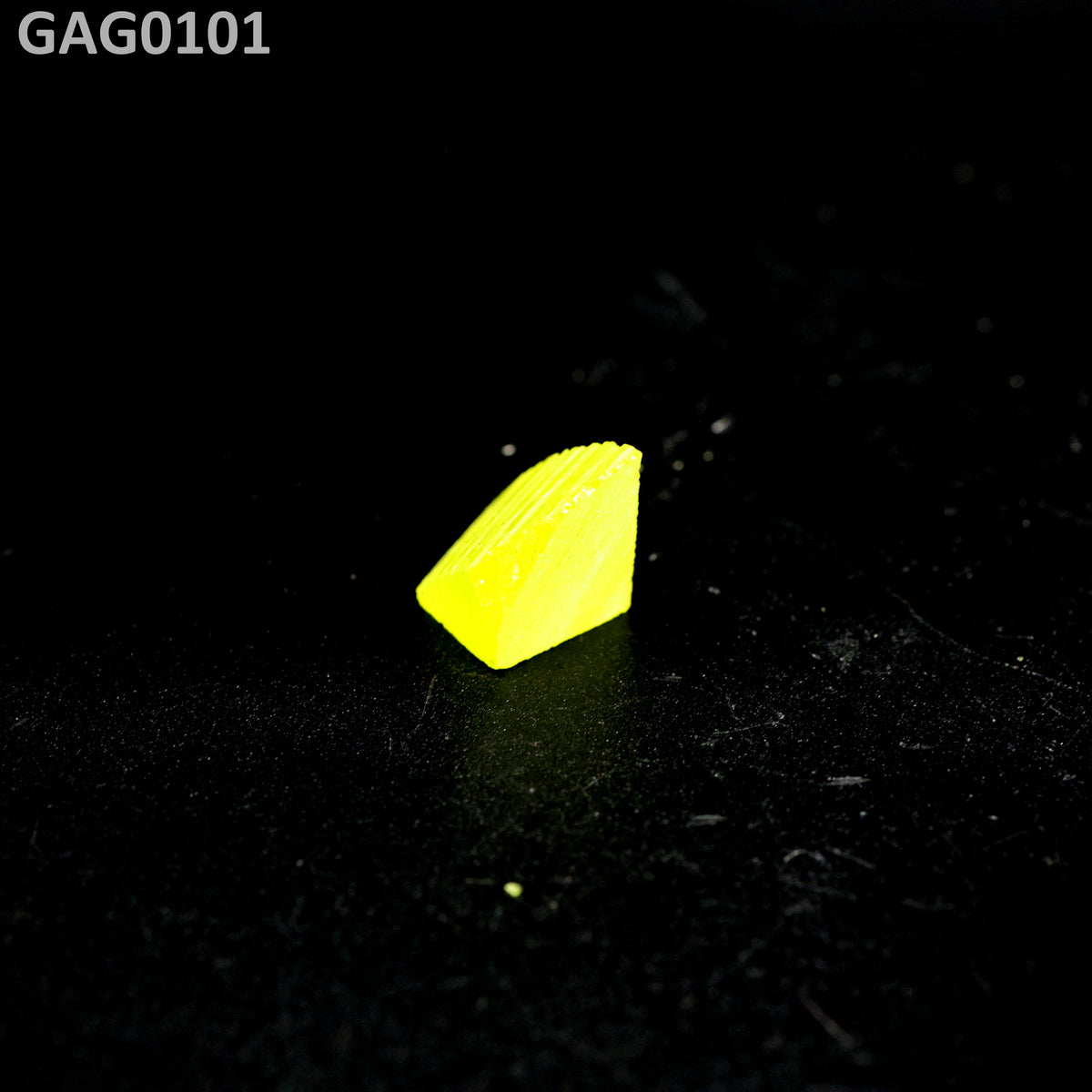 GAGG : GAG0101