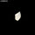 LIN0023 - 5.5 grams