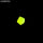 LUA0151 - 9.6 grams