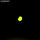 LUA0167 - 4.6 grams