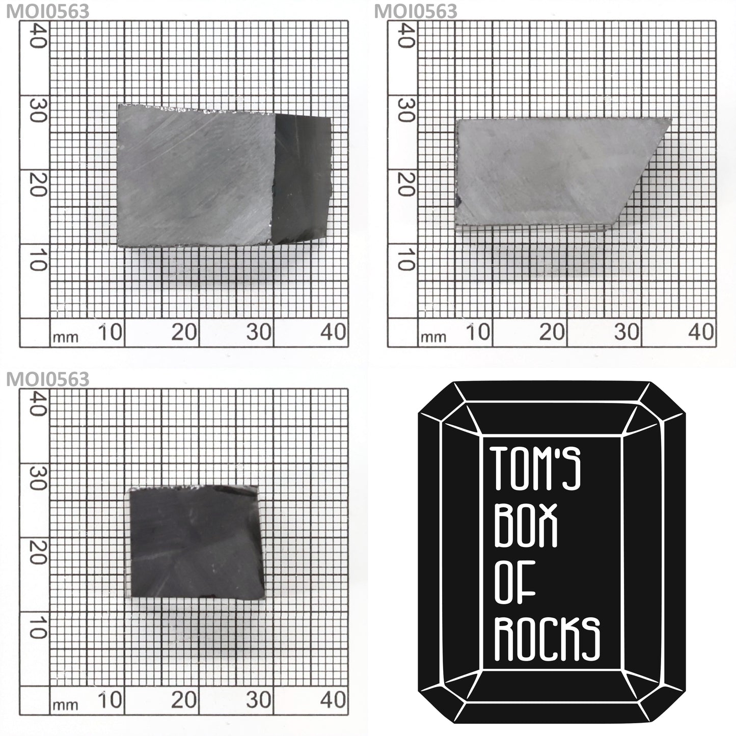 Grey Moissanite : MOI0563