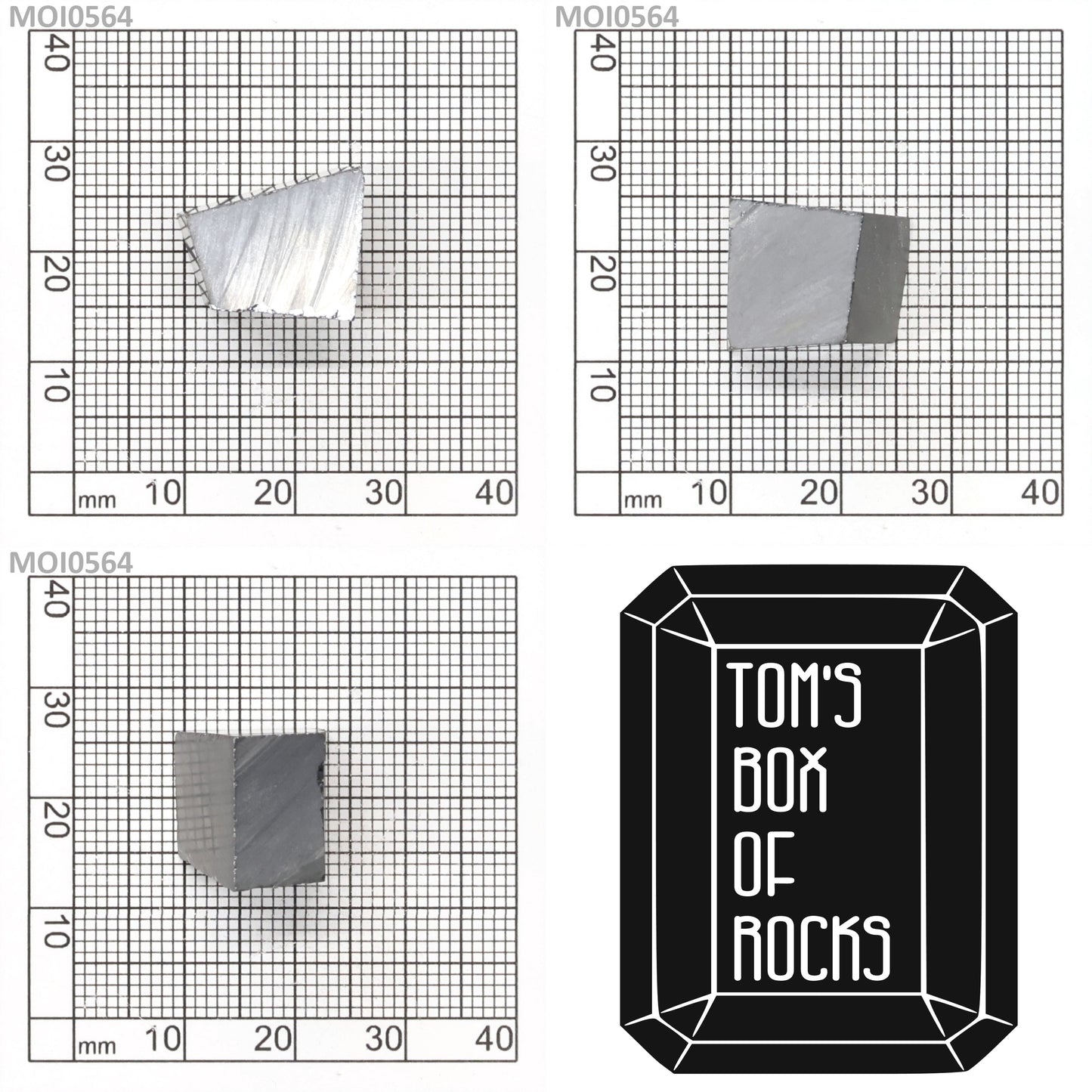 Grey Moissanite : MOI0564