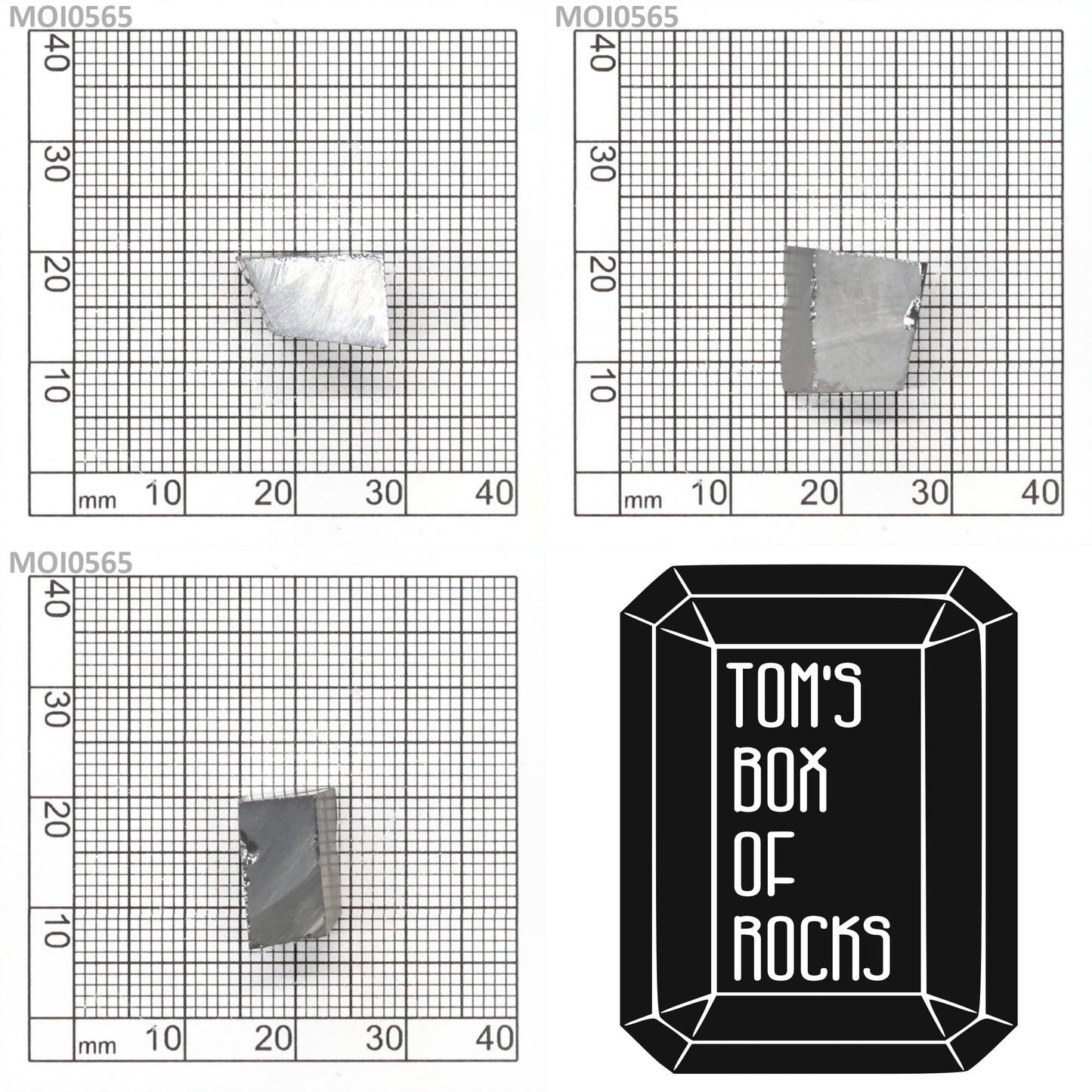 Grey Moissanite : MOI0565