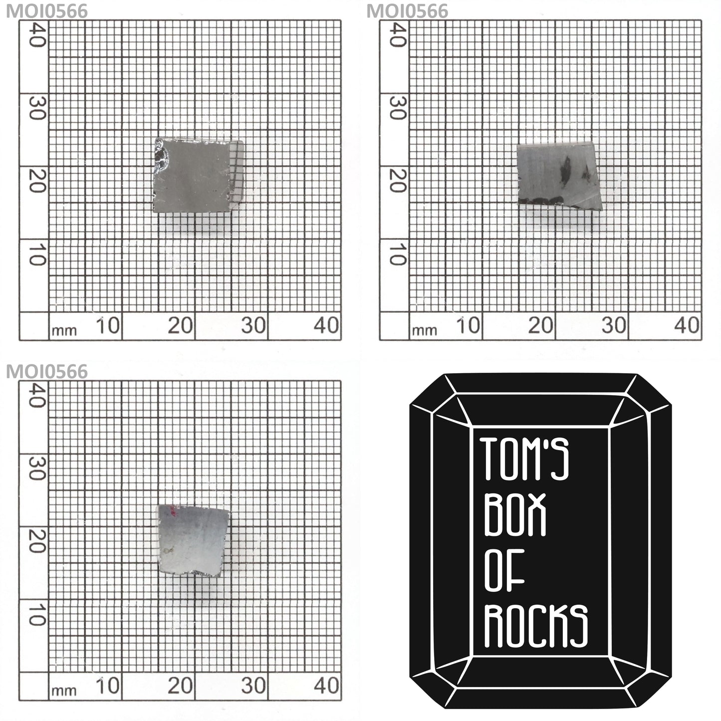 Grey Moissanite : MOI0566