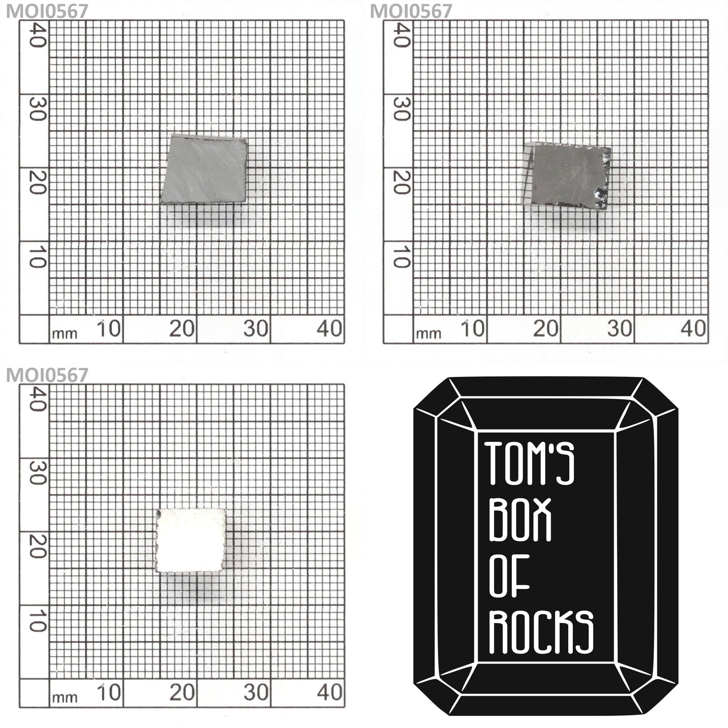 Grey Moissanite : MOI0567