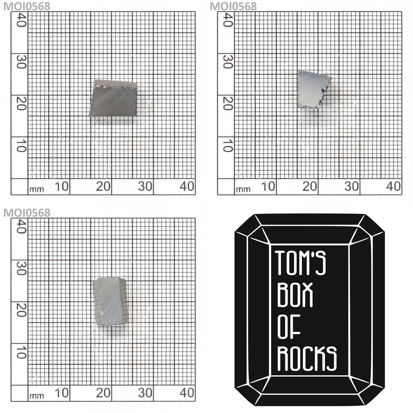 Grey Moissanite : MOI0568