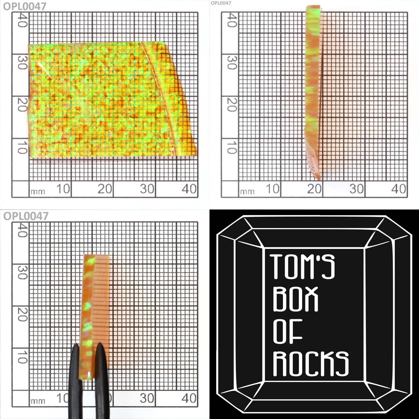 Opal Imp Green Fire/Orange I-4C : OPL0047