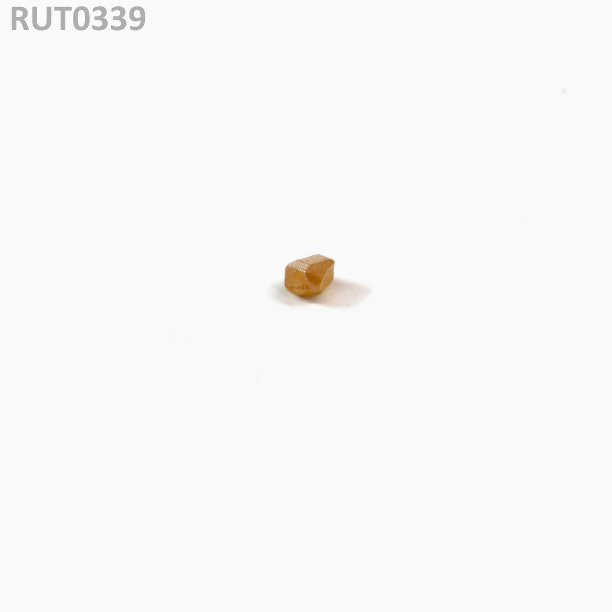MOC-Orange : RUT0339