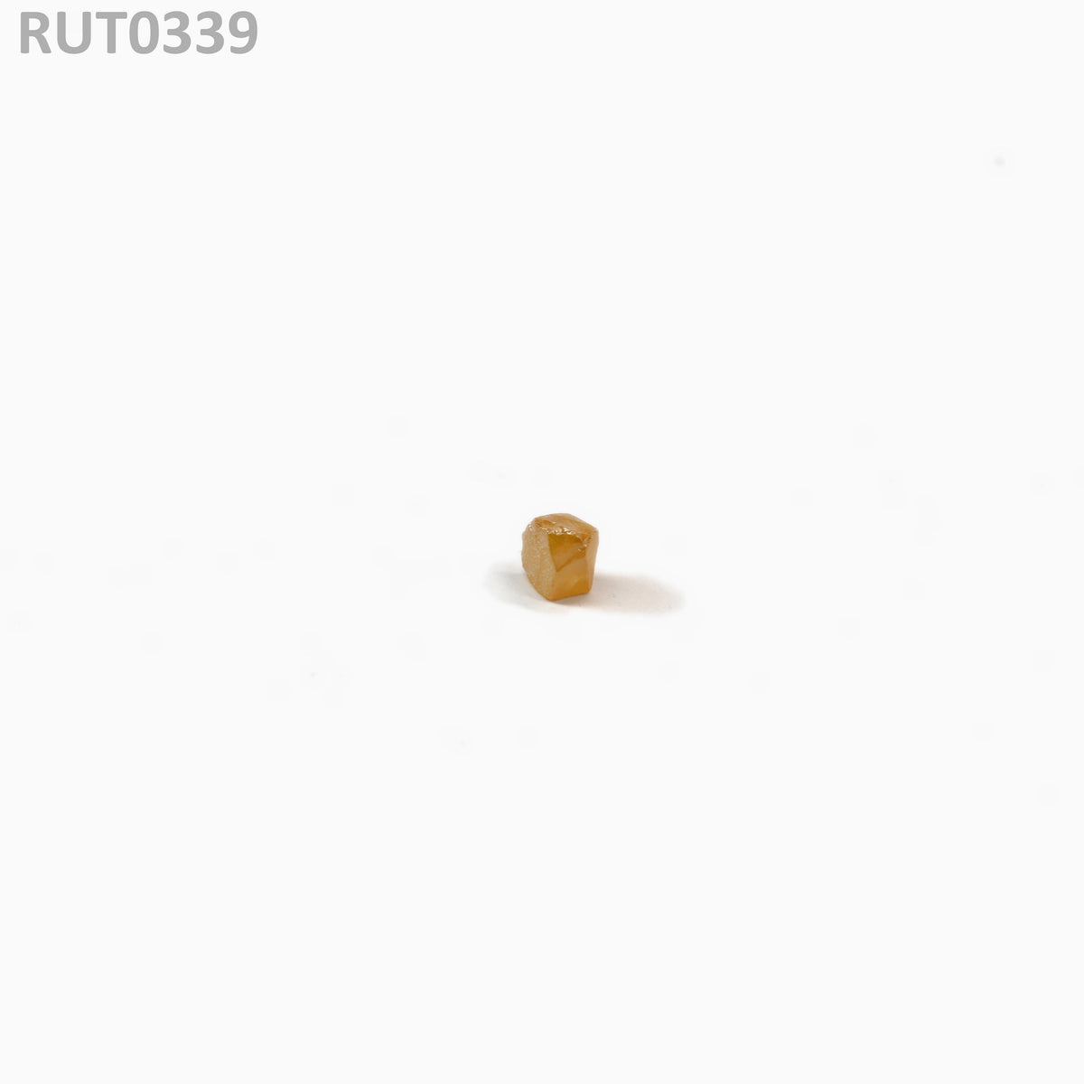MOC-Orange : RUT0339