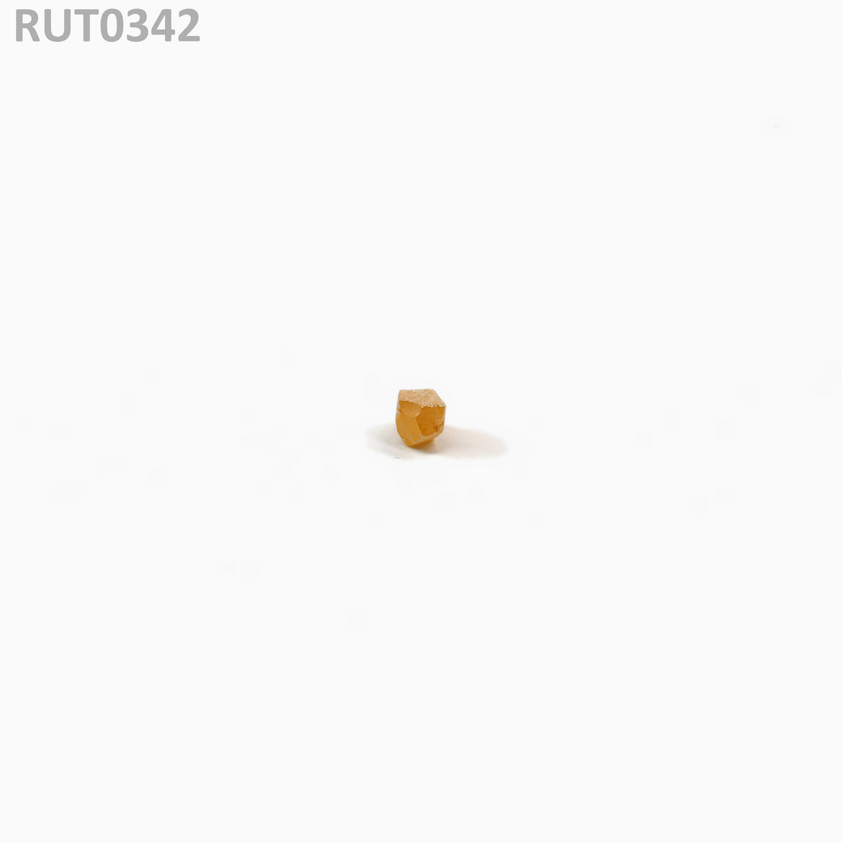 MOC-Orange : RUT0342