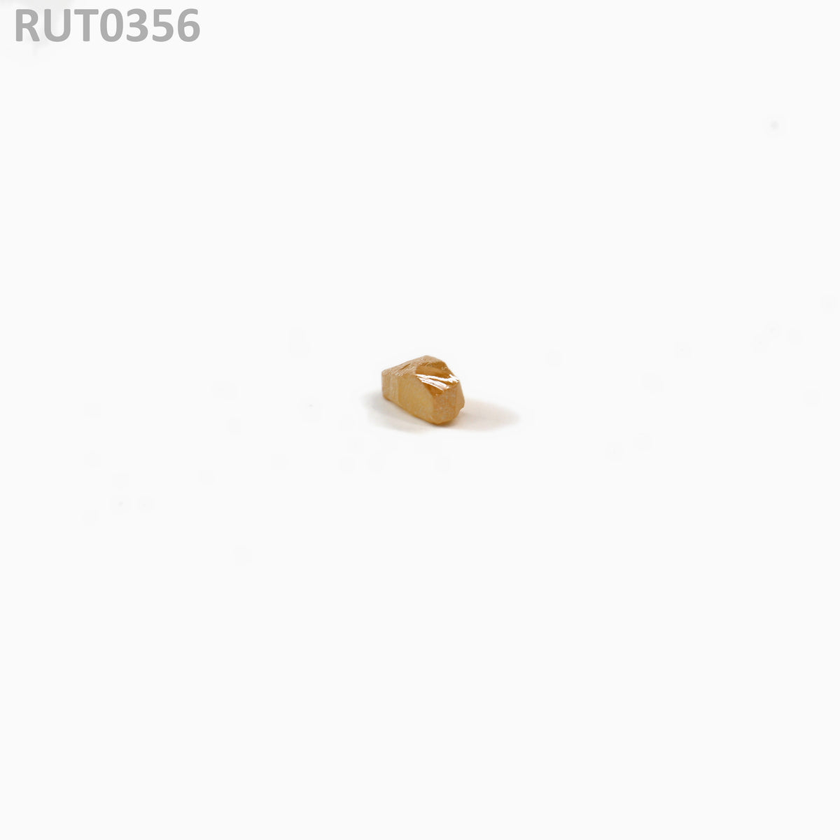 MOC-Orange : RUT0356