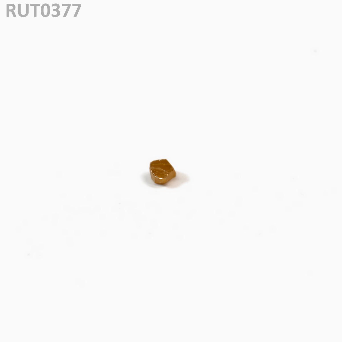 MOC-LightHoney : RUT0377