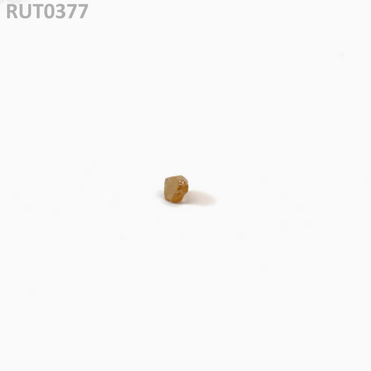 MOC-LightHoney : RUT0377