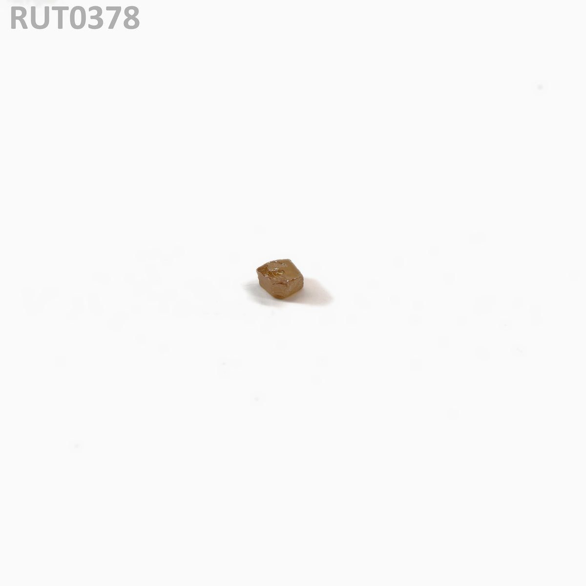 MOC-LightHoney : RUT0378