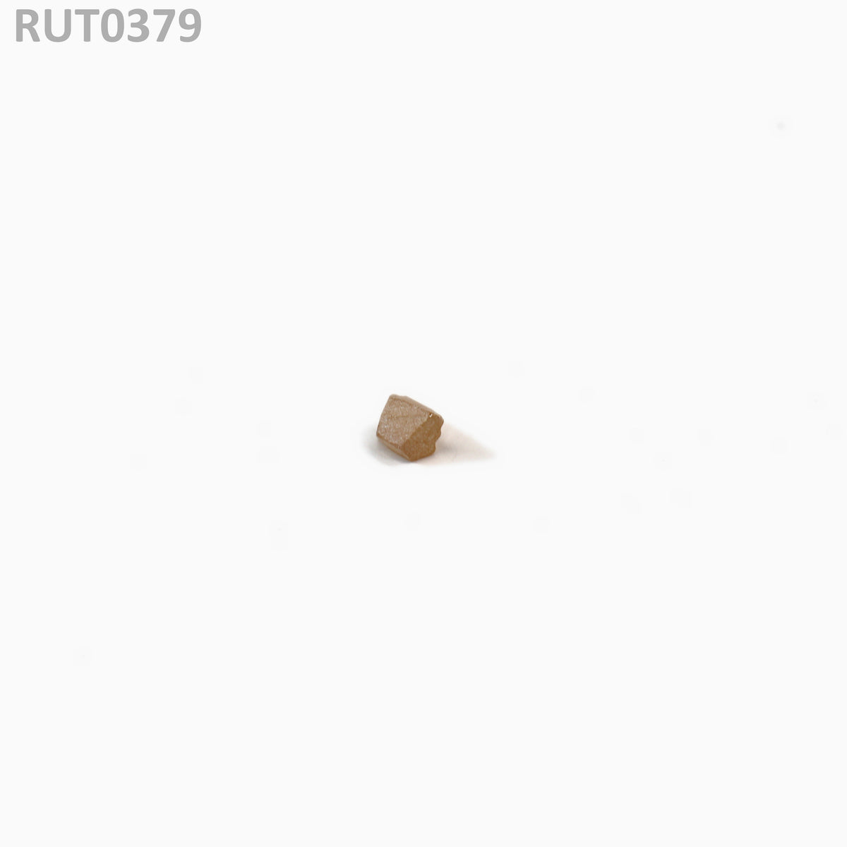 MOC-LightHoney : RUT0379