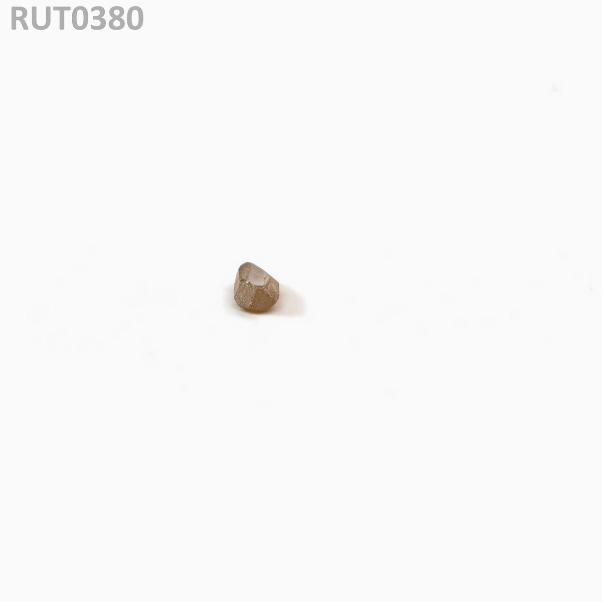MOC-LightHoney : RUT0380