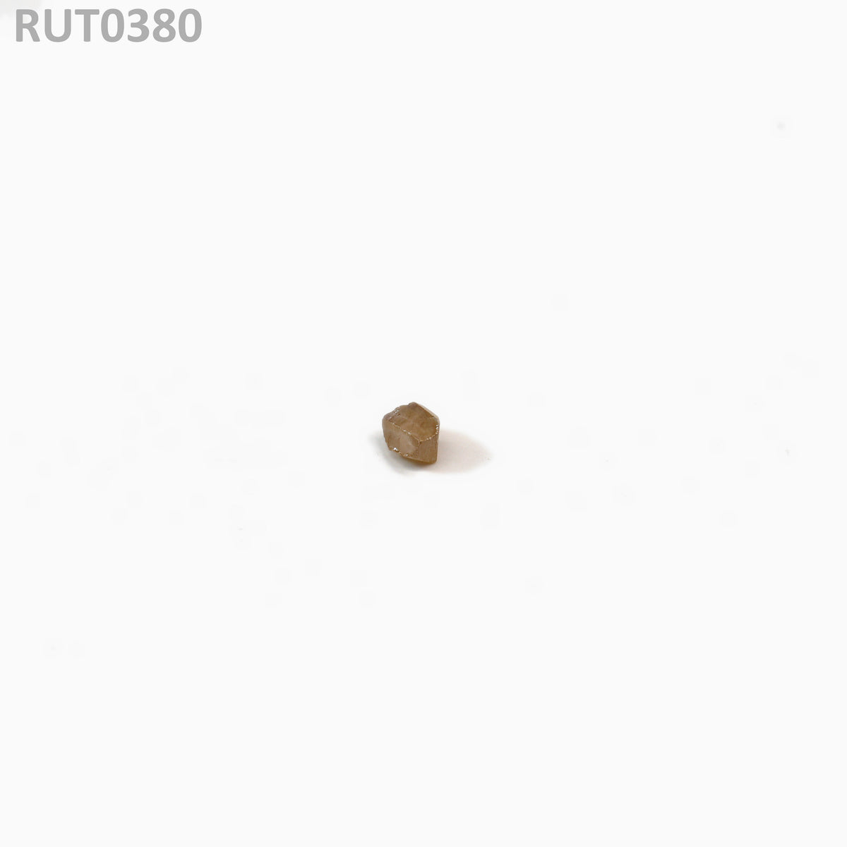 MOC-LightHoney : RUT0380