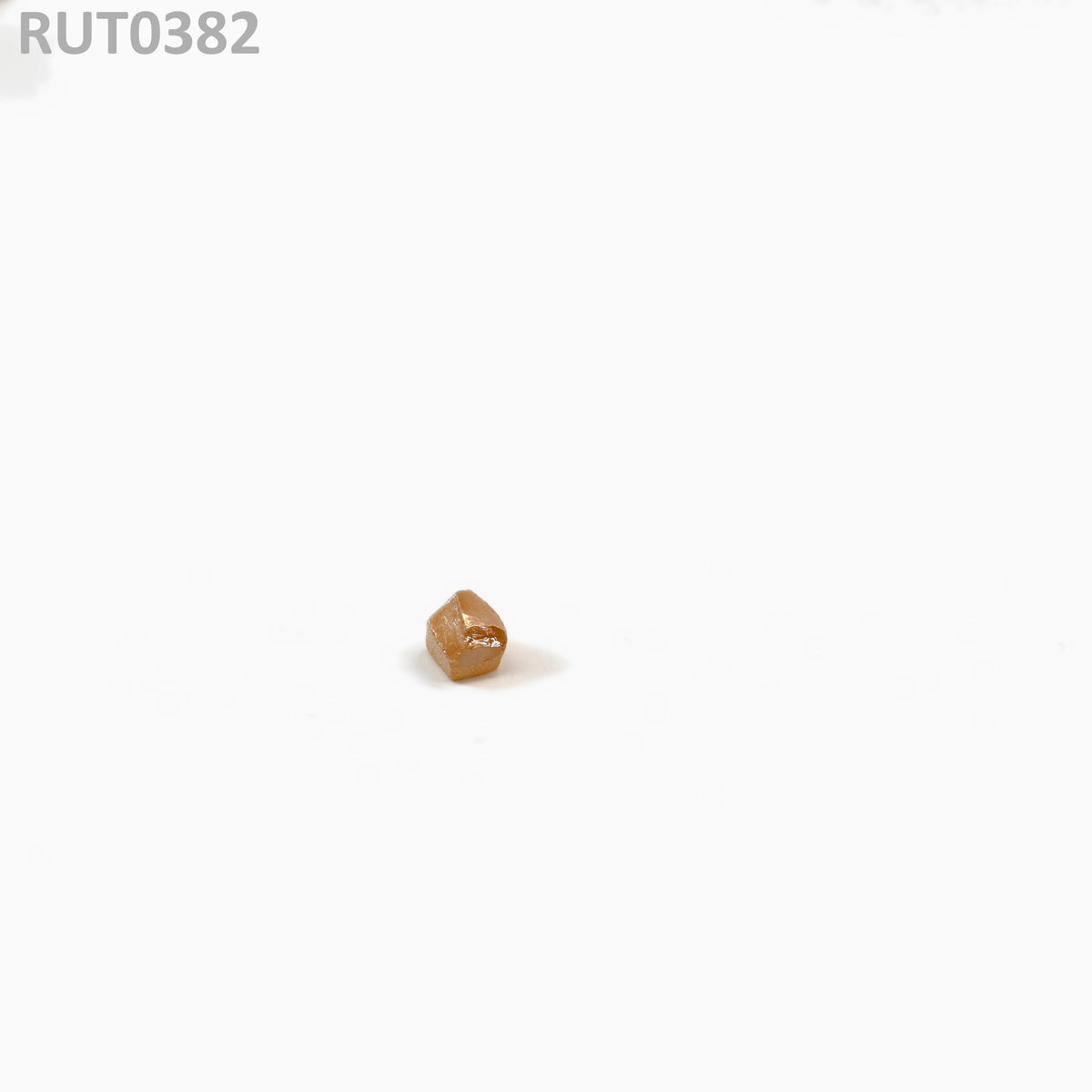 MOC-LightHoney : RUT0382