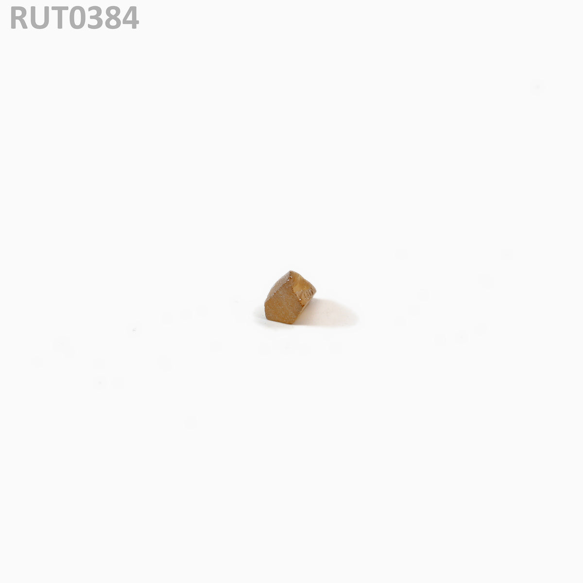 MOC-LightHoney : RUT0384