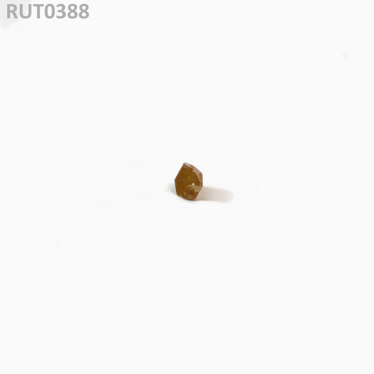 MOC-LightHoney : RUT0388