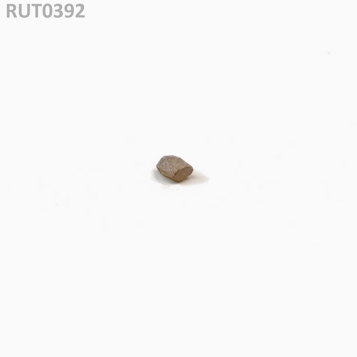 MOC-LightHoney : RUT0392