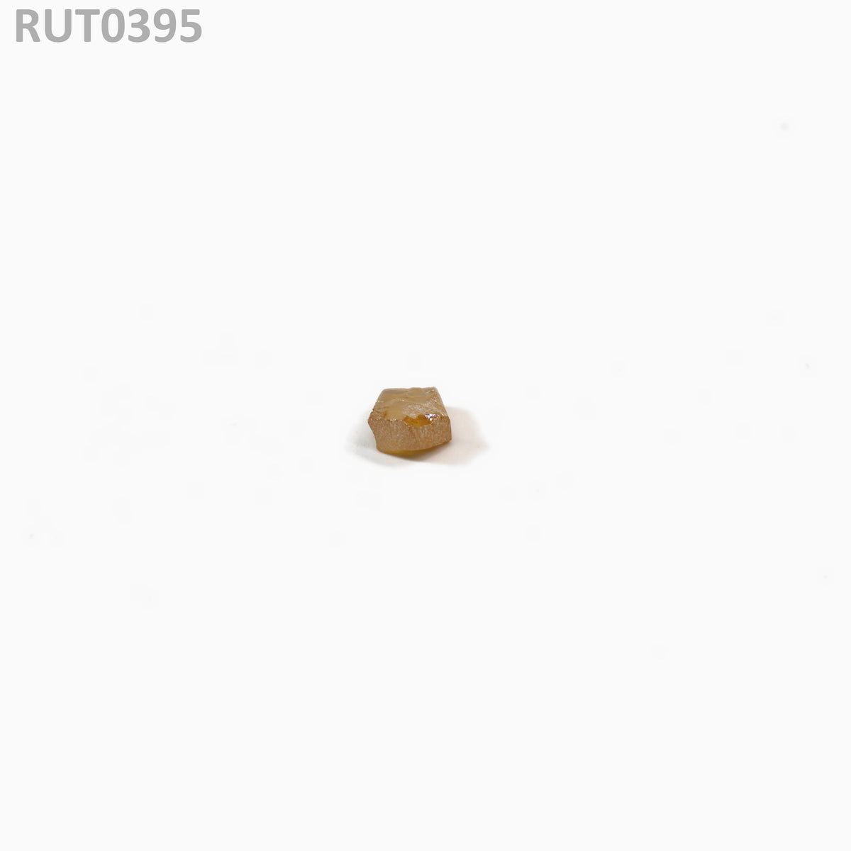 MOC-LightHoney : RUT0395