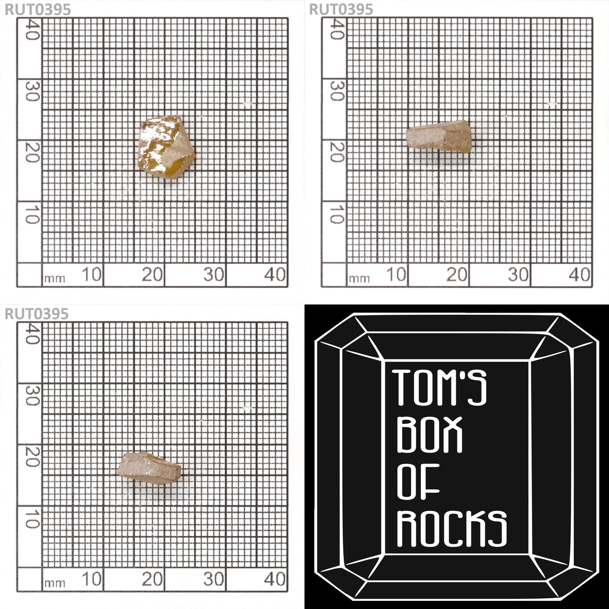 MOC-LightHoney : RUT0395