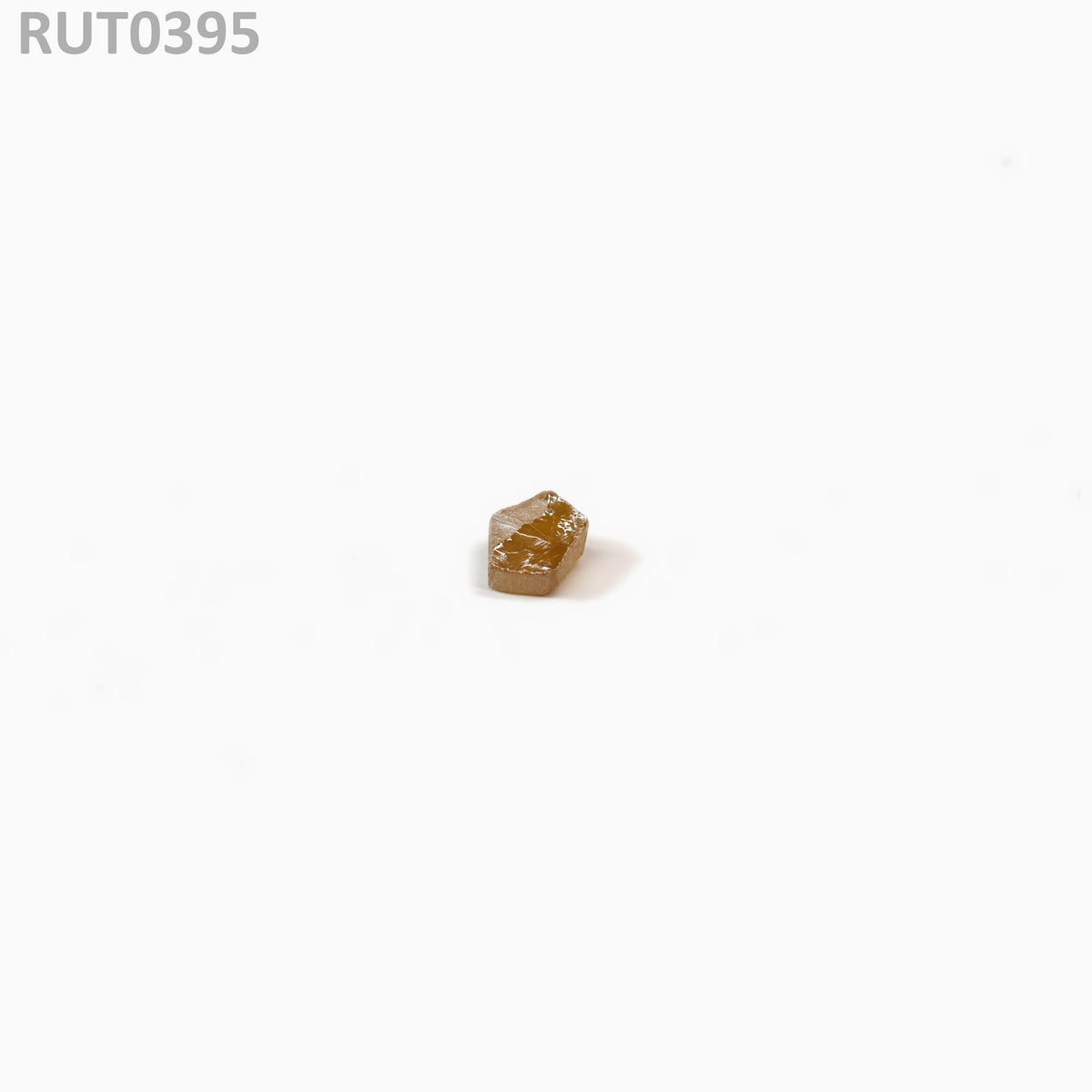 MOC-LightHoney : RUT0395