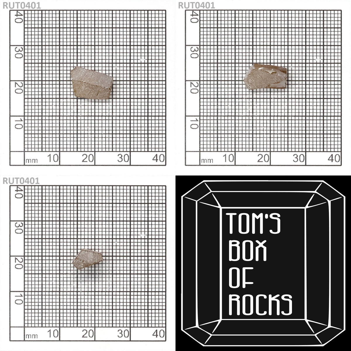 MOC-LightHoney : RUT0401