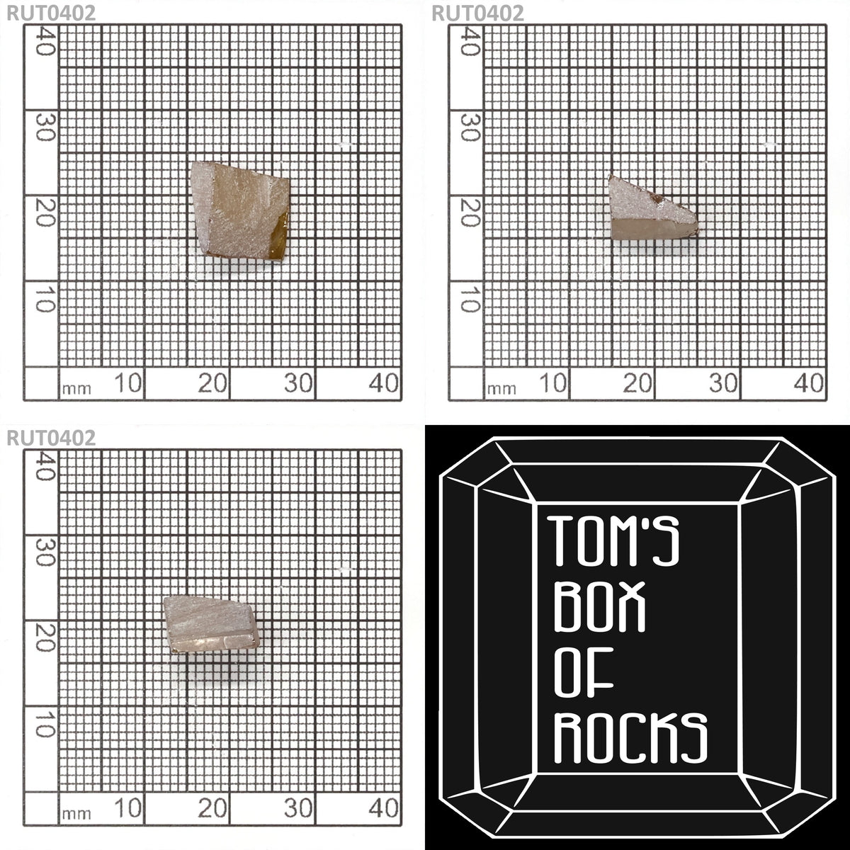 MOC-LightHoney : RUT0402