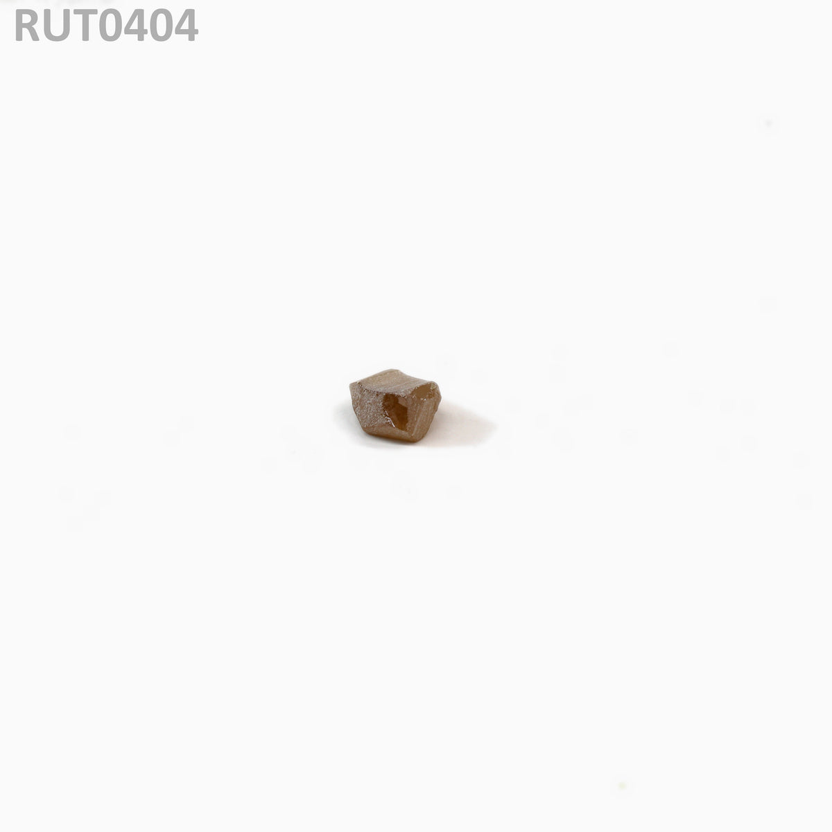 MOC-LightHoney : RUT0404