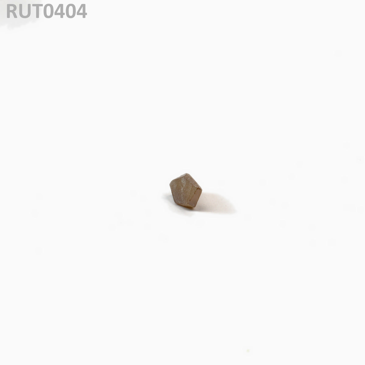 MOC-LightHoney : RUT0404