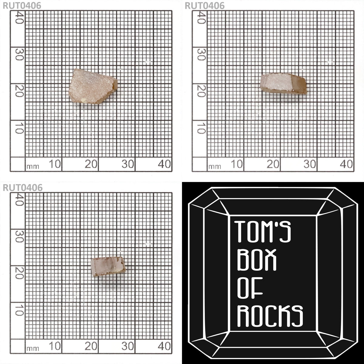 MOC-LightHoney : RUT0406