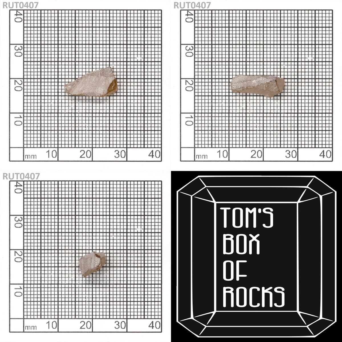 MOC-LightHoney : RUT0407