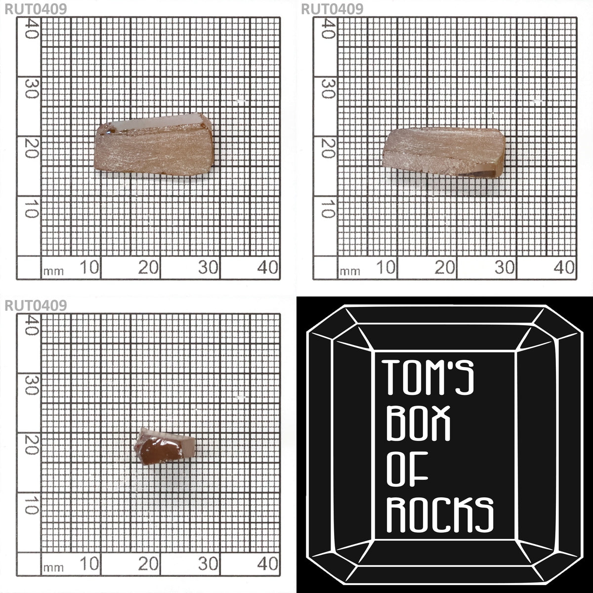 MOC-LightHoney : RUT0409