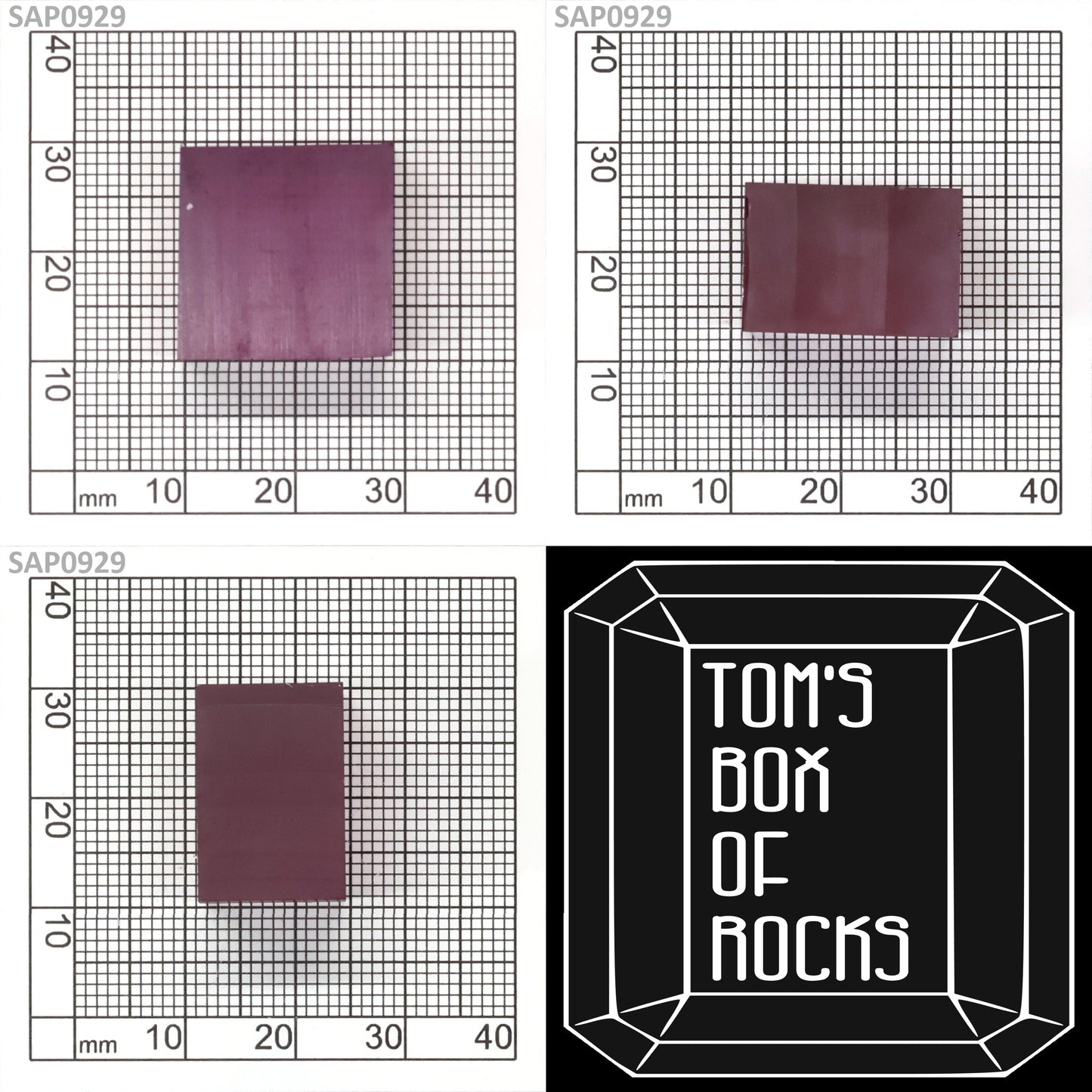 Orchid Purple Sapphire : SAP0929
