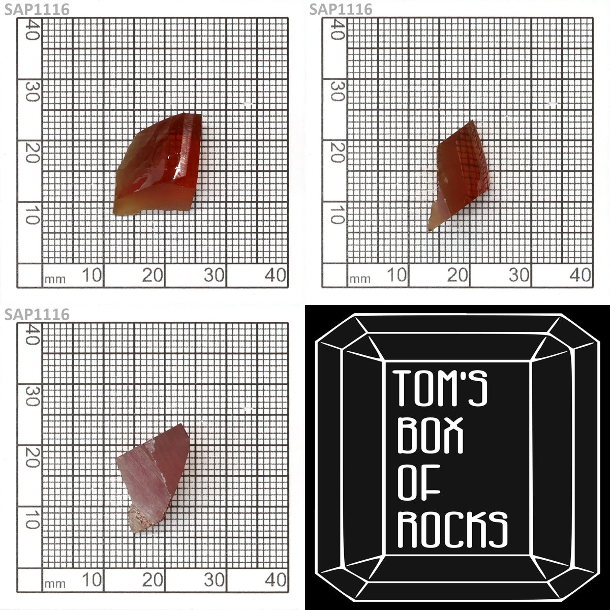 Blood Orange Sapphire : SAP1116