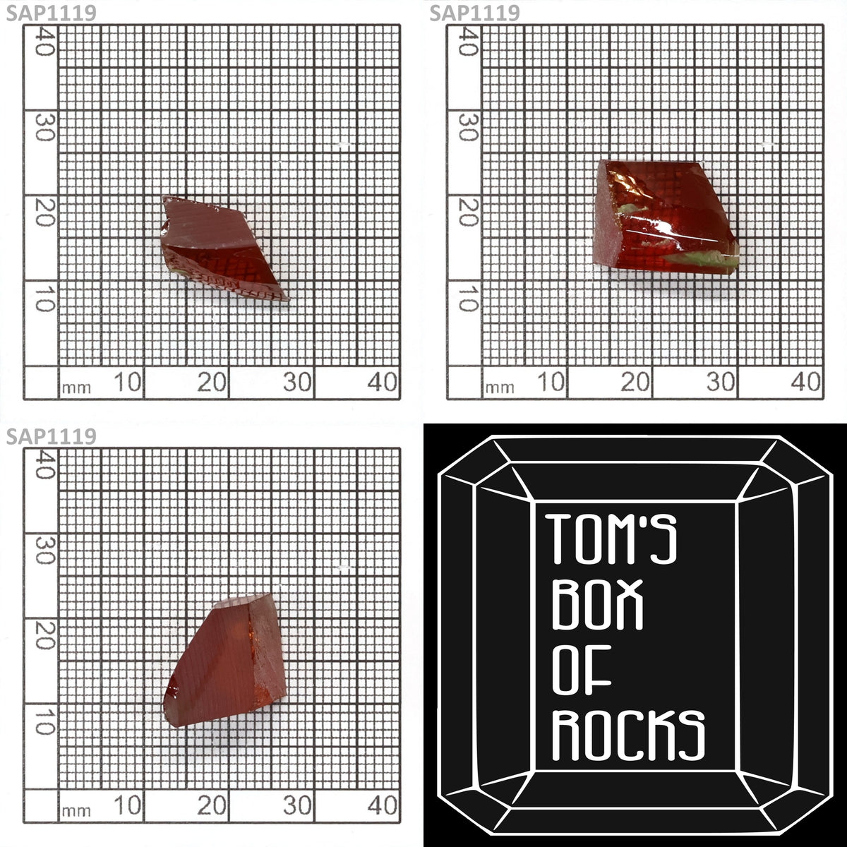 Blood Orange Sapphire : SAP1119