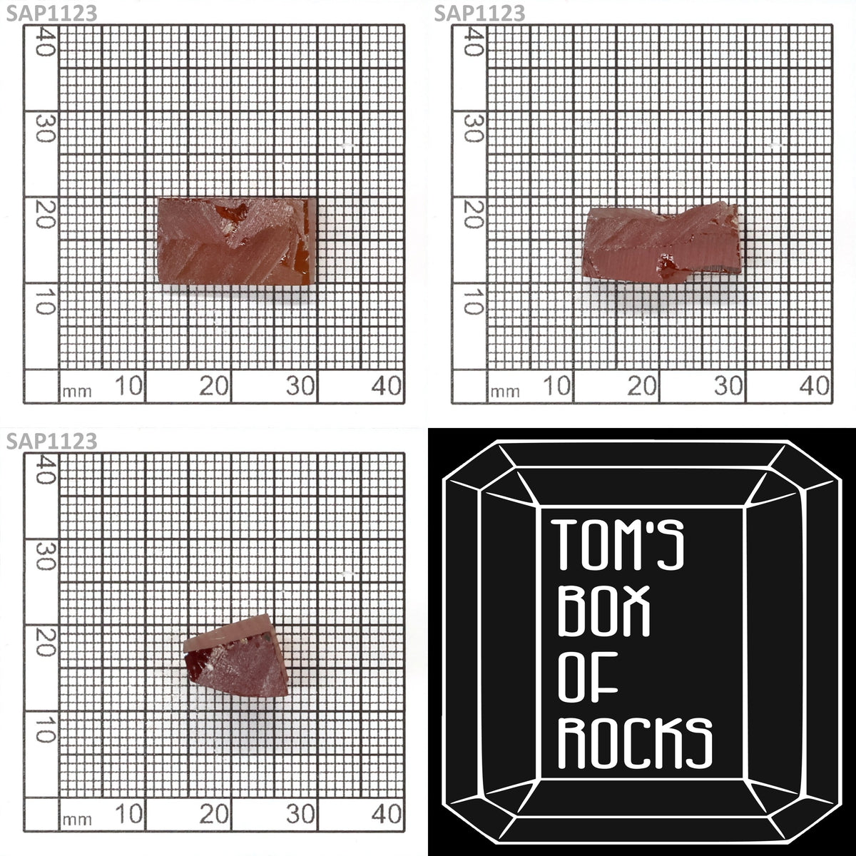 Blood Orange Sapphire : SAP1123