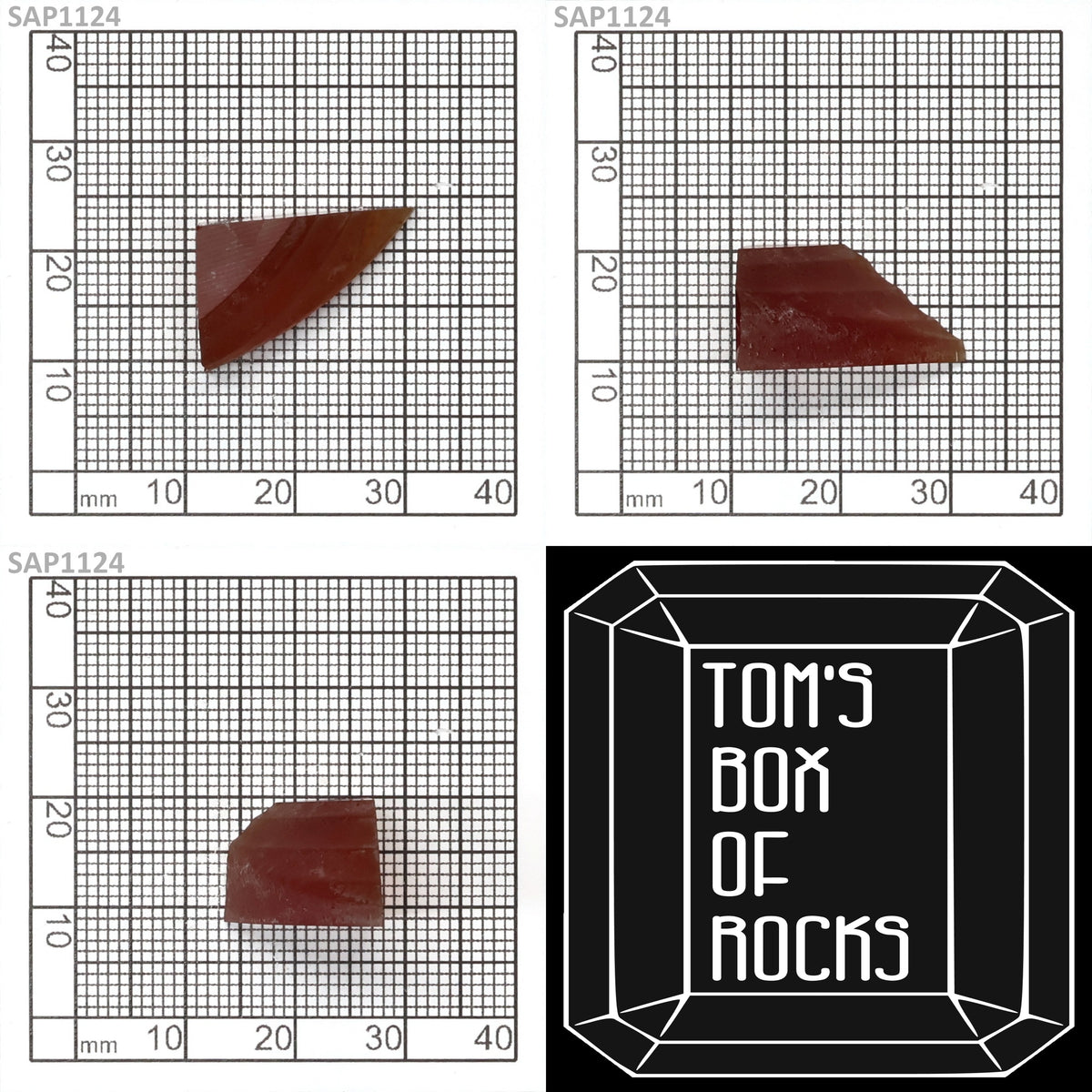 Blood Orange Sapphire : SAP1124