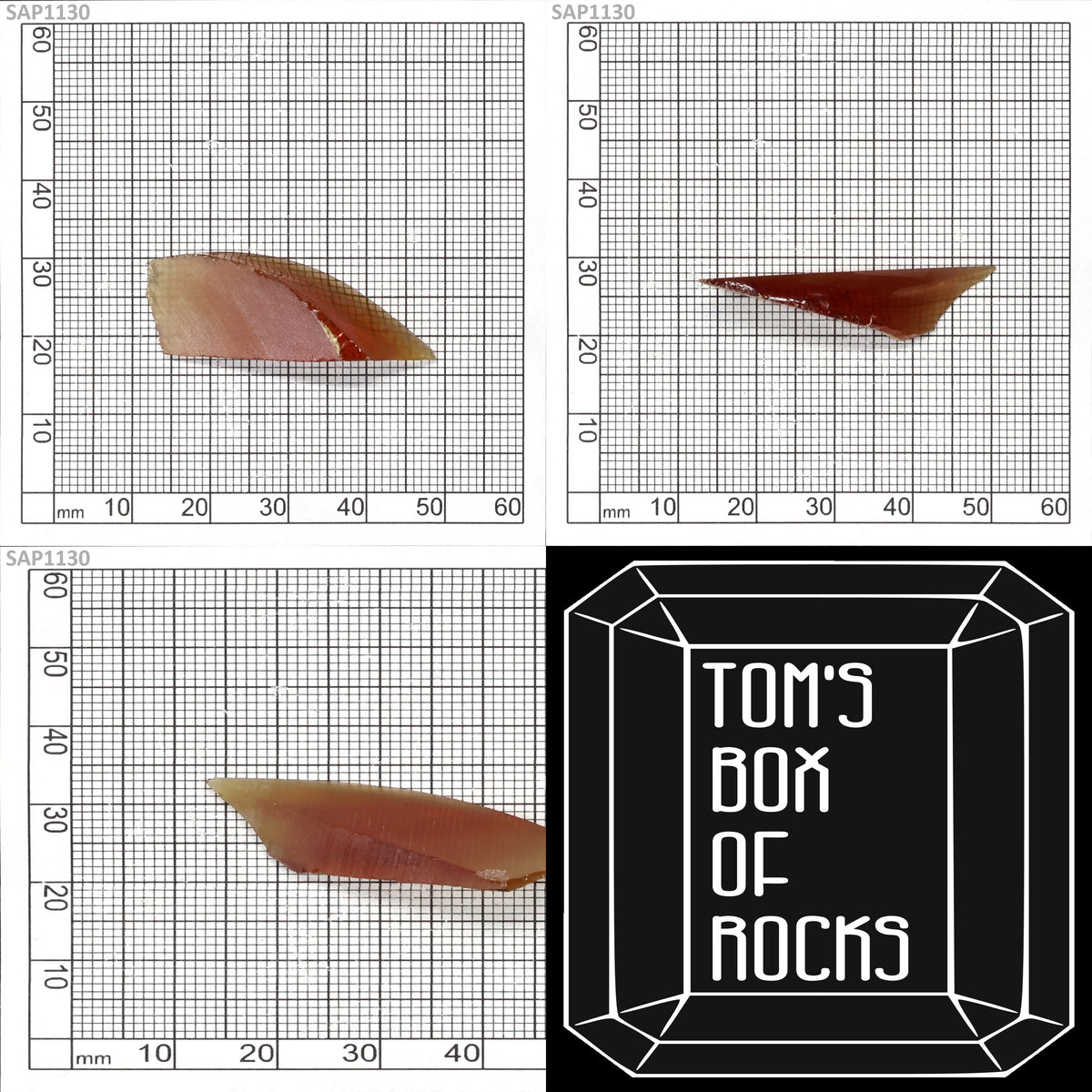 Blood Orange Sapphire : SAP1130