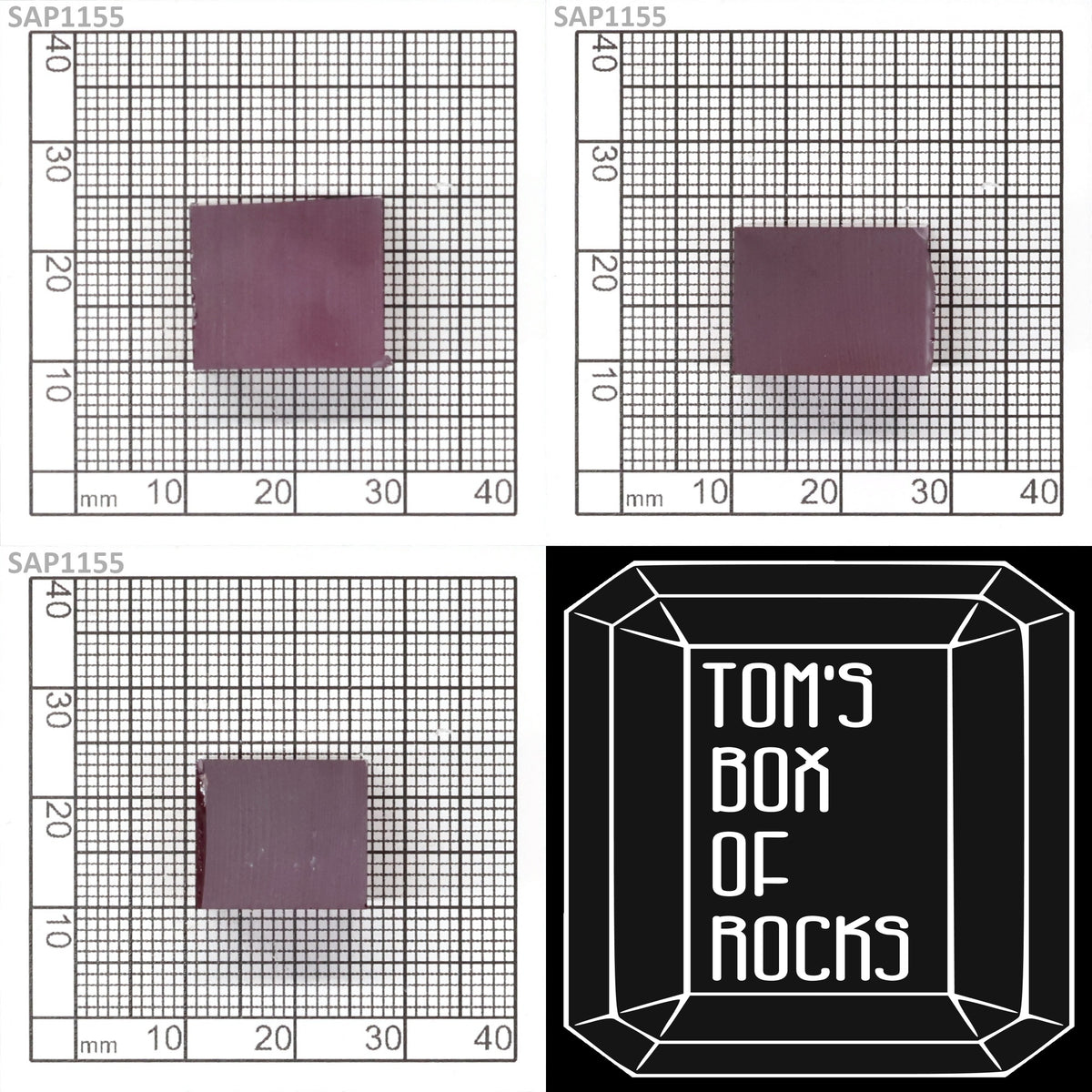 Orchid Purple Sapphire : SAP1155