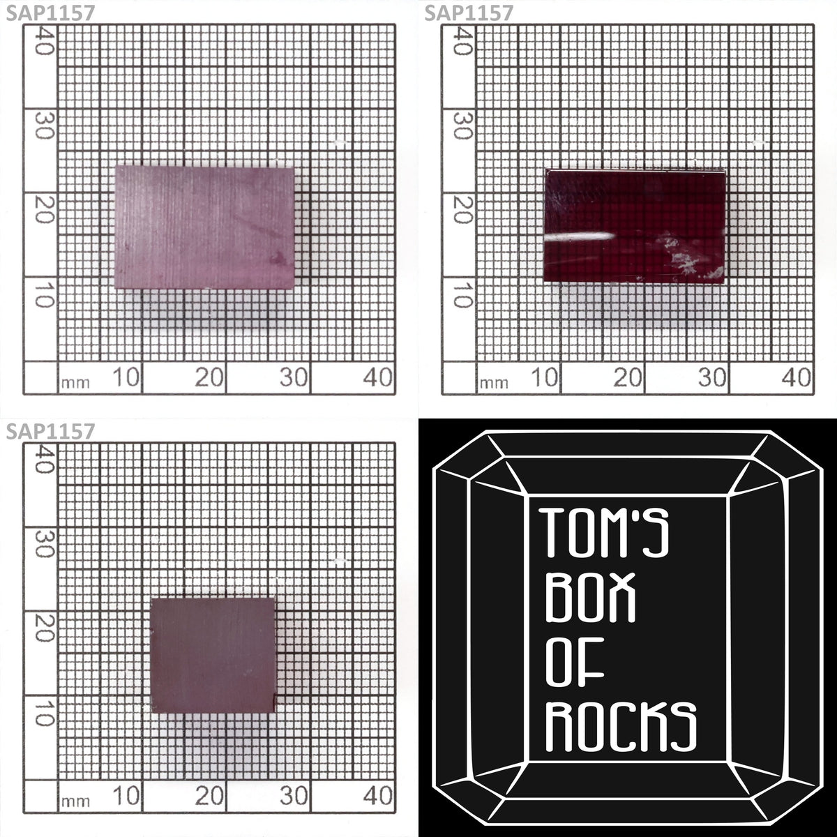 Orchid Purple Sapphire : SAP1157