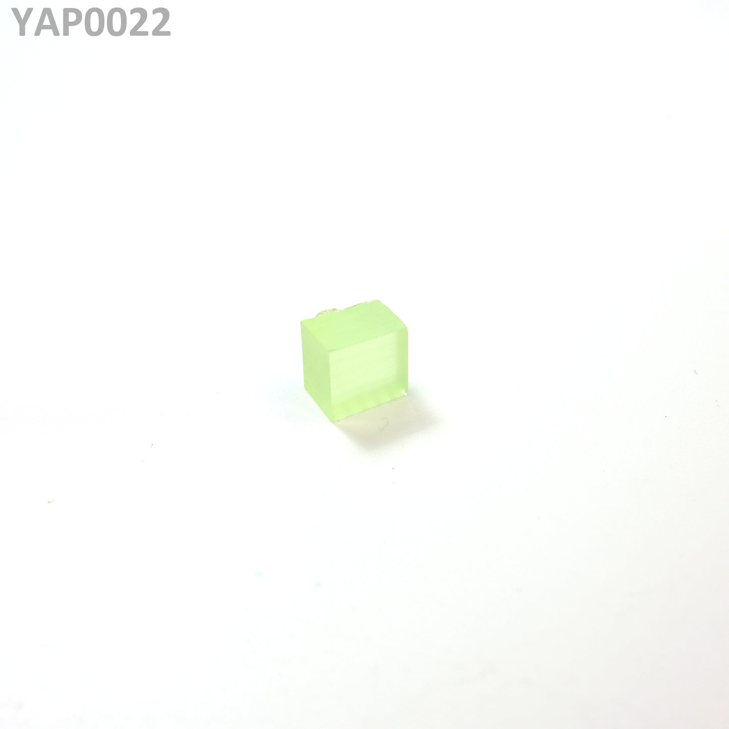 Pr:YAP : YAP0022